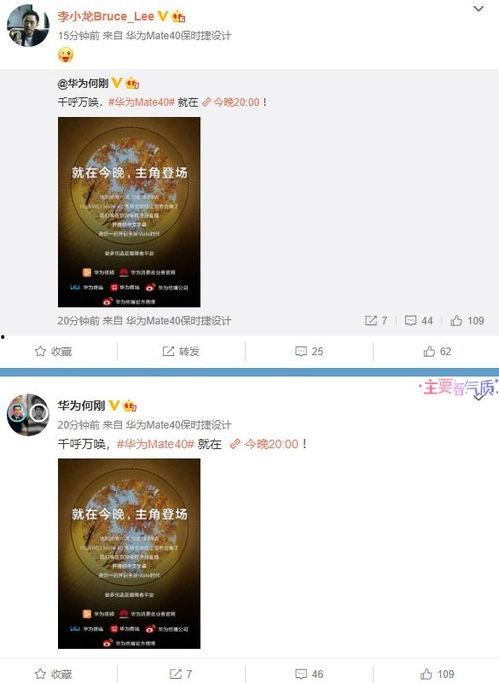 爆料魏莹视频大全最新网站,最新网站爆料全解析