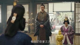 军师联盟42在线观看,谋略巅峰,智斗风云再起 第2张 军师联盟42在线观看,谋略巅峰,智斗风云再起 第2张