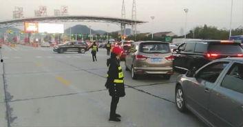 车道在线观看