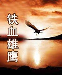 虎胆神鹰全集在线观看,传奇特工的惊险征程 第3张 虎胆神鹰全集在线观看,传奇特工的惊险征程 第3张