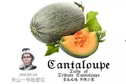 娱乐吃瓜项目推荐,那些你不知道的幕后吃瓜故事 第3张 娱乐吃瓜项目推荐,那些你不知道的幕后吃瓜故事 第3张