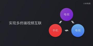 如何在电视上爆料视频呢,揭秘电视爆料视频制作全攻略
