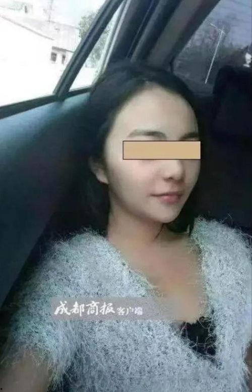 成人在线观看在线播放,成人在线观看与播放的全新体验