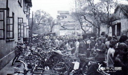 桂林新闻爆料视频最新版,揭秘神秘事件背后的真相  第1张