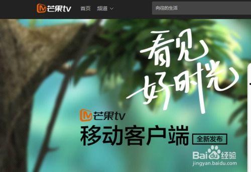芒果在线直播观看,精彩瞬间,尽在云端 第2张 芒果在线直播观看,精彩瞬间,尽在云端 第2张