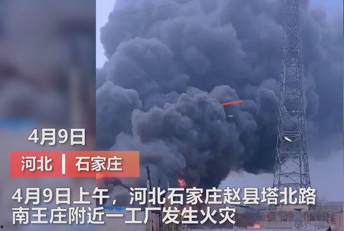 沈阳爆料媒体曝光视频播放,视频曝光惊人一幕，引发社会热议