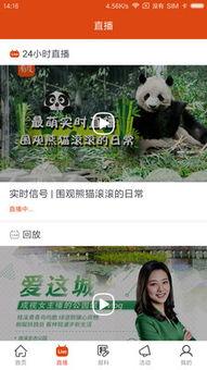 有新闻视频了怎么爆料,揭秘事件真相，带你直击新闻现场