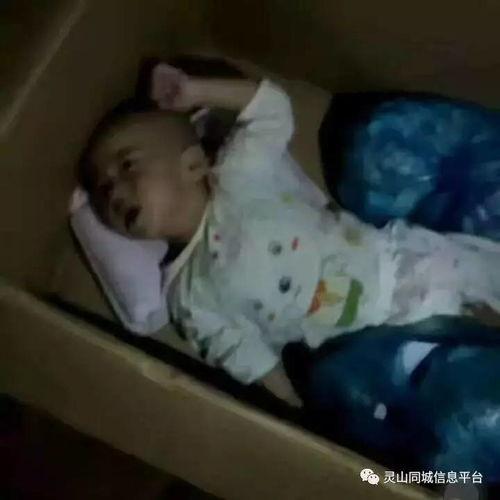 弃婴的视频在线观看,人性的悲歌与社会的反思