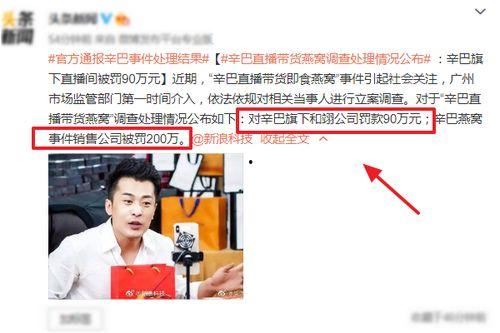 辛巴母亲爆料视频播放全集,家庭矛盾与真相大白 第2张 辛巴母亲爆料视频播放全集,家庭矛盾与真相大白 第2张