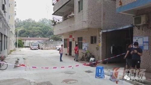 凤山村卫生室爆料事件视频,真相揭露与公众关注 第3张 凤山村卫生室爆料事件视频,真相揭露与公众关注 第3张