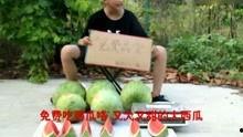 搞笑娱乐吃瓜视频大全集,带你领略欢乐无限 第2张 搞笑娱乐吃瓜视频大全集,带你领略欢乐无限 第2张