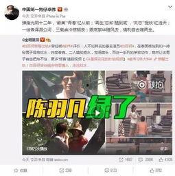 武成侯最新爆料消息视频,揭秘幕后真相，带你走进事件核心