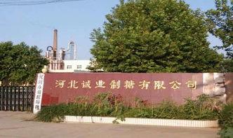 河北赵县环保最新爆料,揭秘河北赵县环境治理新进展 第1张 河北赵县环保最新爆料,揭秘河北赵县环境治理新进展 第1张