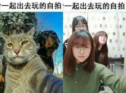 爆料沙雕老雕视频在线观看,在线观看笑翻天！