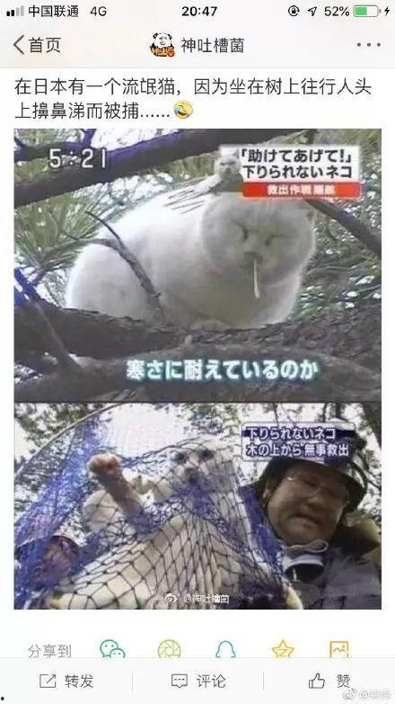 爆料沙雕老雕视频在线观看,在线观看笑翻天! 第2张 爆料沙雕老雕视频在线观看,在线观看笑翻天! 第2张