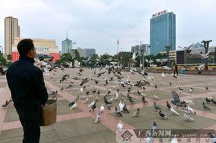 南宁民族广场最新爆料,民族风情与文化盛宴即将启幕 第2张 南宁民族广场最新爆料,民族风情与文化盛宴即将启幕 第2张