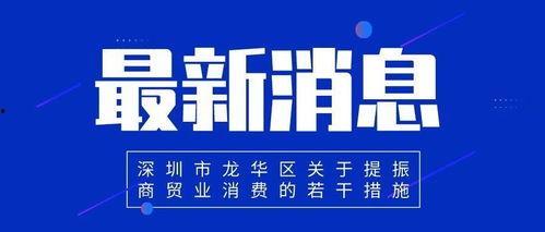 深圳新闻爆料热线地址,追踪城市脉搏的神秘之门