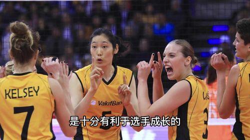 外媒爆料李盈莹事件视频,外媒揭秘真相与争议