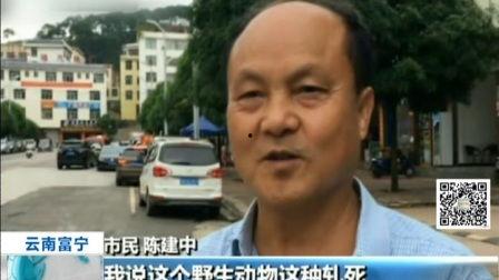 富宁县新闻爆料,突发事件引发关注,详情即将揭晓 第3张 富宁县新闻爆料,突发事件引发关注,详情即将揭晓 第3张