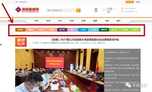 沛县新闻爆料热线电话,共建和谐家园  第1张