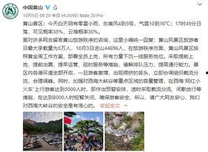 山东抖音记者爆料视频,揭秘背后惊人真相！  第2张