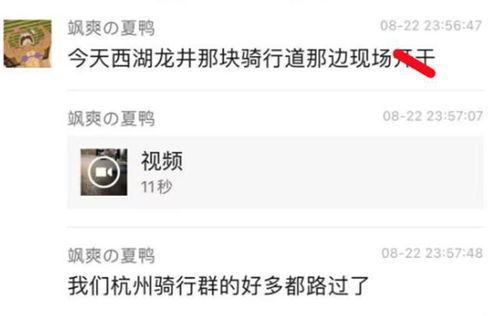 吃瓜最新爆料视频大全,最新爆料视频大盘点