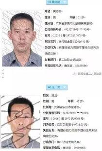 东莞新闻爆料官网,最新动态一网打尽 第2张 东莞新闻爆料官网,最新动态一网打尽 第2张