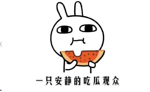 抖音热门吃瓜网红是谁啊,揭秘热门网红瓜王之谜  第2张