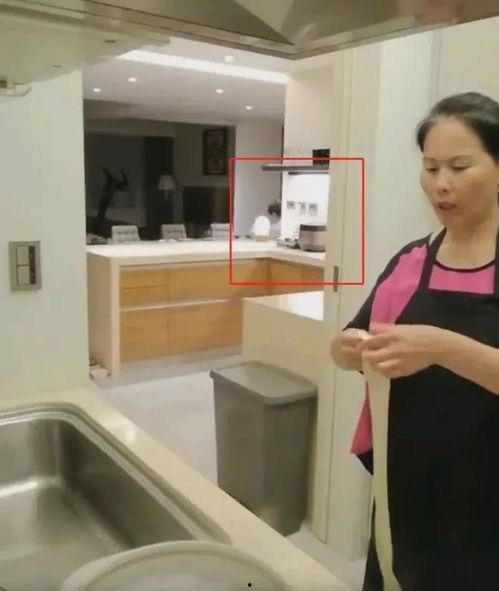 小杨阿姨爆料视频大全,揭秘生活百态 第3张 小杨阿姨爆料视频大全,揭秘生活百态 第3张