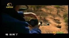 天然 在线观看,天然在线观看之旅 第2张 天然 在线观看,天然在线观看之旅 第2张