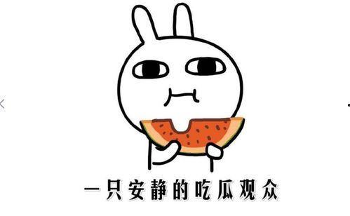 抖音网红瓜吃瓜,揭秘网红圈背后的故事