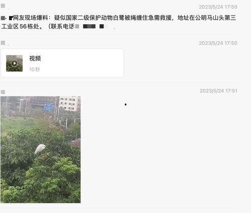 深圳新闻爆料是免费的吗,免费获取最新资讯，畅享信息自由  第3张