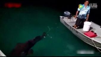 钓鱼爆料视频最新大全,高清大全视频揭秘钓鱼技巧与心得  第3张