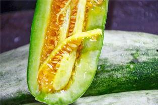 广西南宁吃瓜网红,探寻广西美食新地标  第3张