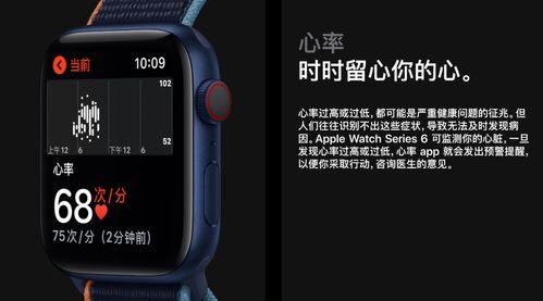 最新文案爆料,行业风向标大揭秘！