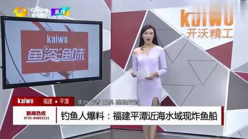 钓鱼爆料视频大全图片高清,揭秘钓鱼高手们的绝密技巧与精彩瞬间