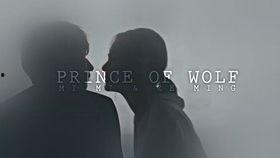 狼王子全集在线观看,在线观看，探寻神秘森林的奇幻冒险之旅  第3张