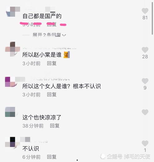 赵小棠国货最新爆料,国货新宠,引领潮流风尚 第2张 赵小棠国货最新爆料,国货新宠,引领潮流风尚 第2张