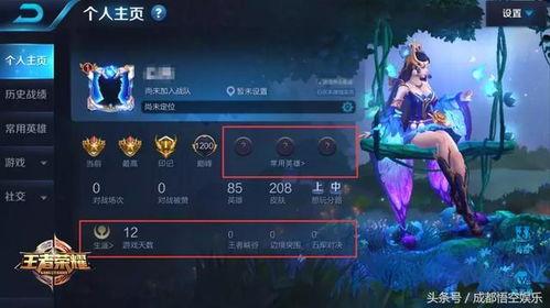 王者英雄人鱼爆料视频,王者峡谷新秀揭秘  第2张