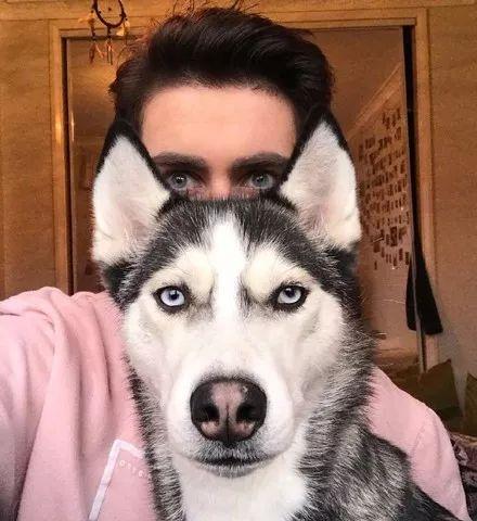 大河马爆料二哈视频大全,大河马爆料视频大全