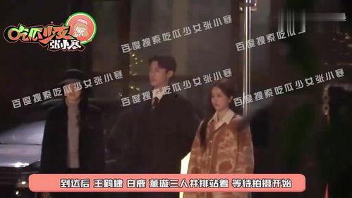 以爱为营在线观看,浪漫邂逅，共筑幸福家园  第2张