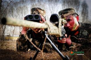 猎杀行动在线观看,在线惊悚揭秘，生死较量一触即发  第3张