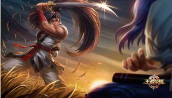 宫本武藏皮肤最新爆料,宫本武藏皮肤全新爆料，神秘剑客再战江湖  第2张