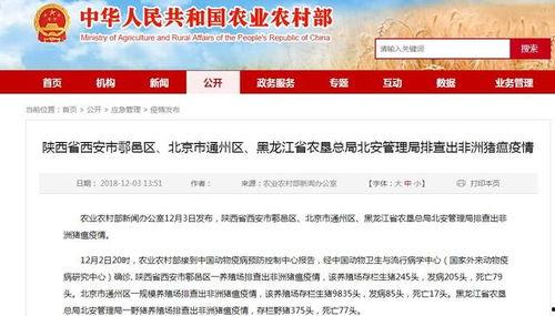 竹山农香最新爆料新闻视频,最新爆料视频深度解析  第2张