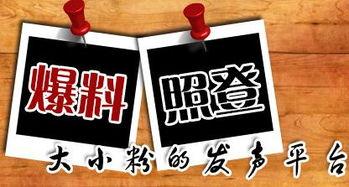 最新爆料新闻,最新爆料新闻背后的惊人真相