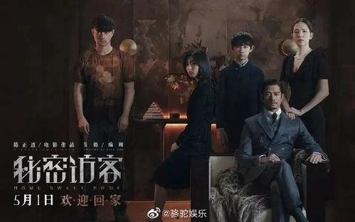 电影秘密在线观看,揭秘命运轨迹，探索心灵奥秘的奇幻之旅