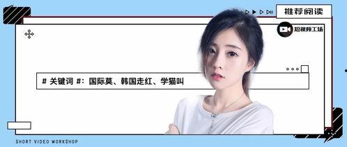 开平网红爆料是谁呀视频,揭秘“是谁呀”视频背后的神秘人物