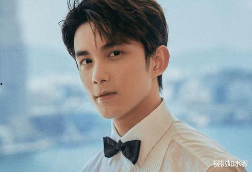 娱乐圈吃瓜吴磊是谁啊,揭秘吴磊的星光之路 第3张 娱乐圈吃瓜吴磊是谁啊,揭秘吴磊的星光之路 第3张