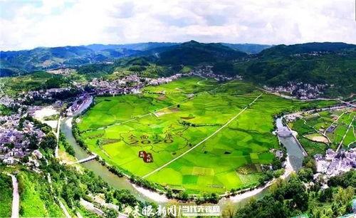 爆料禾丰美景视频下载,带你领略乡村风光无限