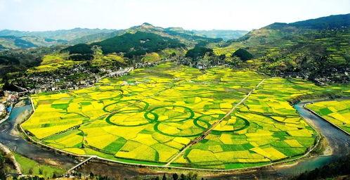爆料禾丰美景视频下载,带你领略乡村风光无限 第2张 爆料禾丰美景视频下载,带你领略乡村风光无限 第2张